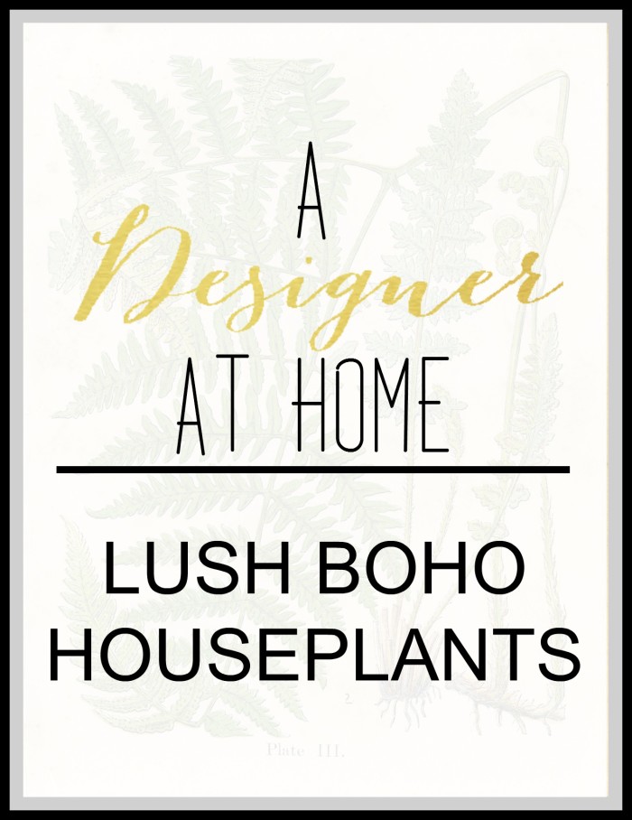 A designer at home loves lush house plants, get inspired and get ideas