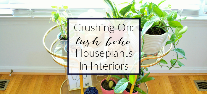 crushing on lush boho houseplants in interiors inspiration