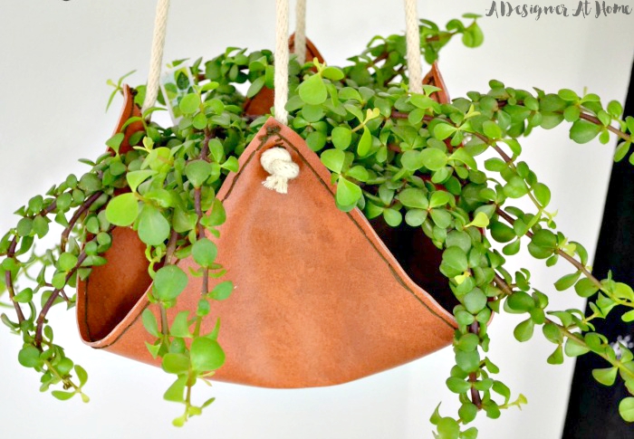 elephant-bush-plant-in-handmade-leather-hanging-planter
