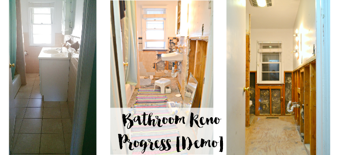 demo-demolition-bathroom-reno-renovation-progress