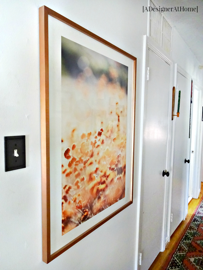this hallway has no natural light so a large framed outdoor print adds the outdoor feel to a very indoor space
