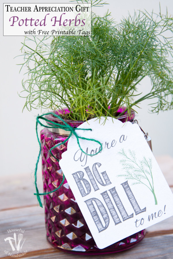 Teacher-Appreciation-Gift-Potted-Herbs-with-Tags-Pinnable