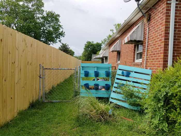 Desperate side yard in need of yard maintenance