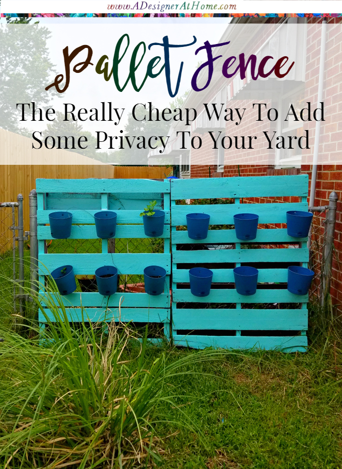 The cheapest way to hide a lessen the eyesore of a chain link fence and add a bit of privacy to your yard