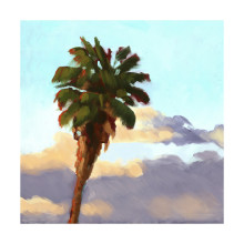 palm