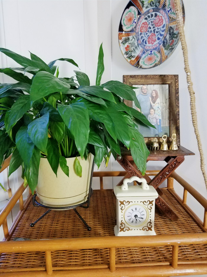 Vintage atomic style planter with carved wood stand