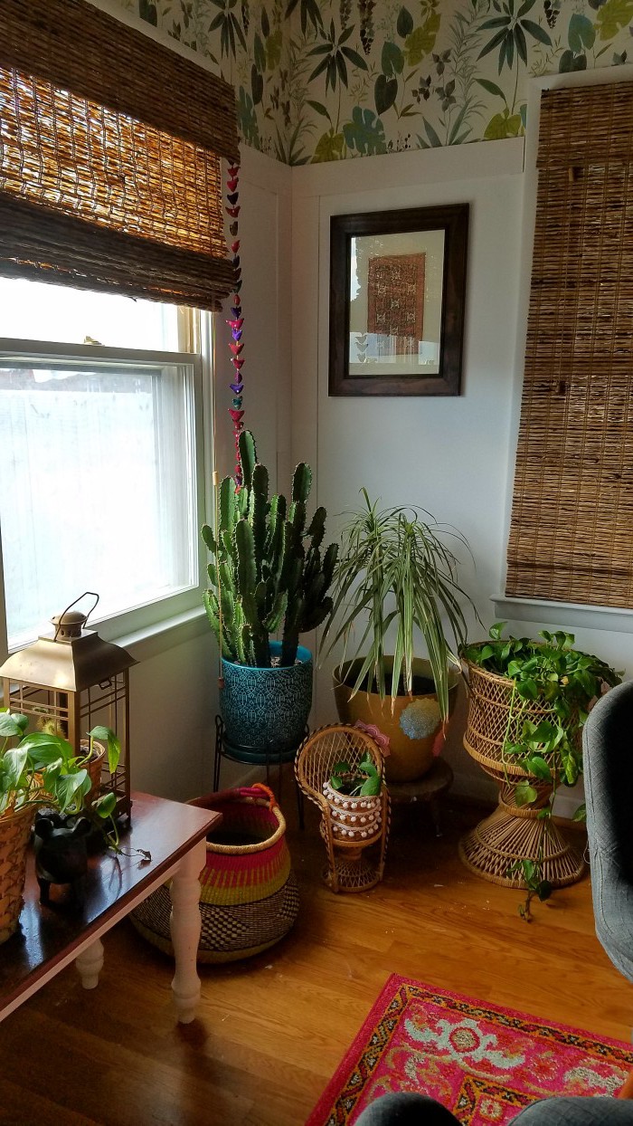 Plant Filled and Focused | Pink and Green | Tropical and Modern | Global and Thrifted | Dining Room | Airy Bohemian Dining Room Decor | Cali Style