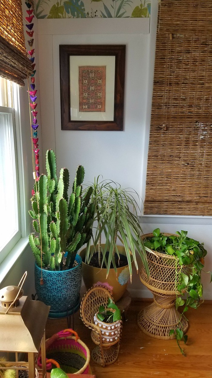 Plant Filled and Focused | Pink and Green | Tropical and Modern | Global and Thrifted | Dining Room | Airy Bohemian Dining Room Decor | Eclectic Boho Cali Style