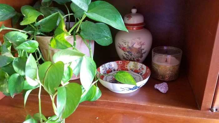 Plant Filled and Focused | Pink and Green | Tropical and Modern | Global and Thrifted | Dining Room | Airy Bohemian Dining Room Decor | Eclectic Boho Cali Style