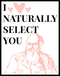 I Naturally Select You - ADesignerAtHome