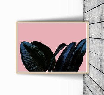 Tropical Plant Print