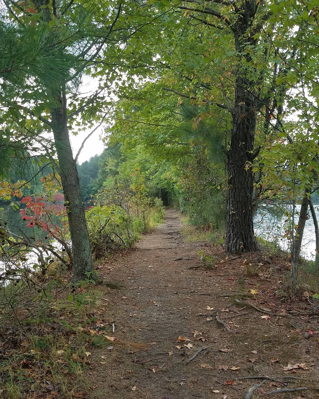 One of our recent hiking trips. 