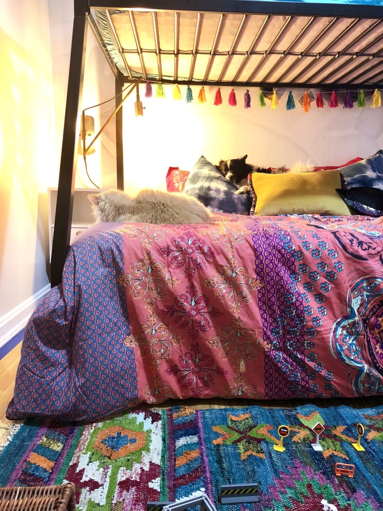 Dog and Cat on boho style bunkbed 