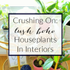 crushing on lush boho houseplants in interiors inspiration