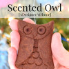 These smell incredible- even years later! Cinnamon Scented Owl Holiday Ornament Tutorial.