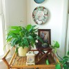 rattan bar cart with plants and imari plates