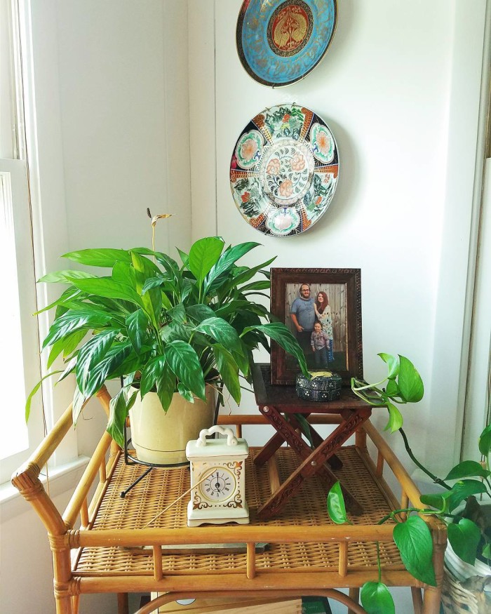 rattan bar cart with plants and imari plates