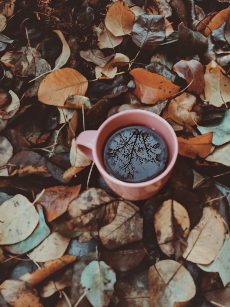 My Autumn Bucket List: Things To Do In Fall